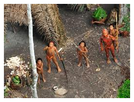 tribe.2
