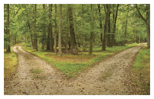 woods.2